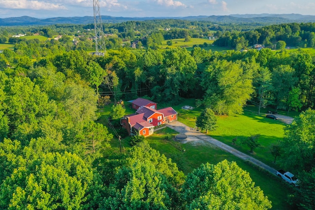 bird's eye view featuring a mountain view