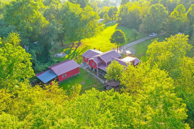 aerial view