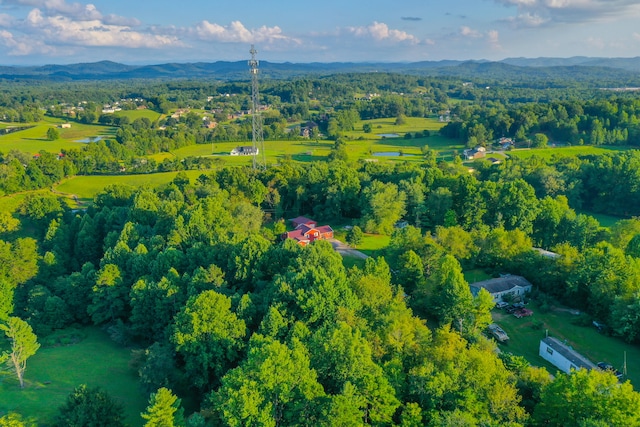 aerial view with a mountain view