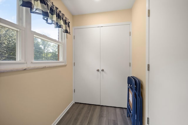 interior space featuring a closet and dark hardwood / wood-style floors