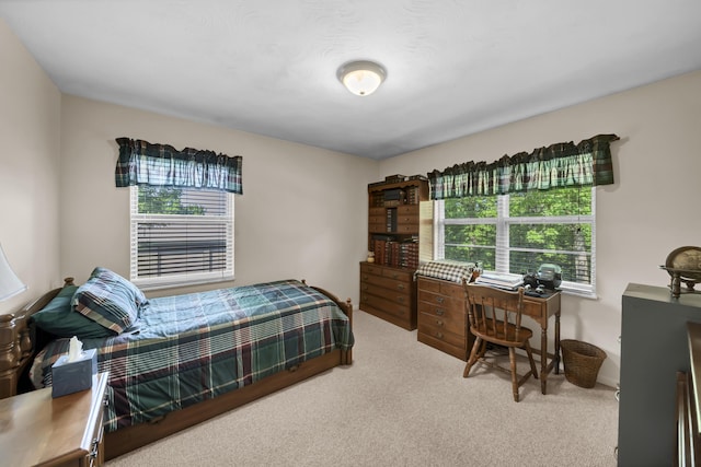 175 N Bend Rd, Stanton, KY 40380 - view of carpeted bedroom