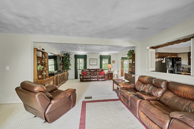 175 N Bend Rd, Stanton, KY 40380 - living area featuring carpet