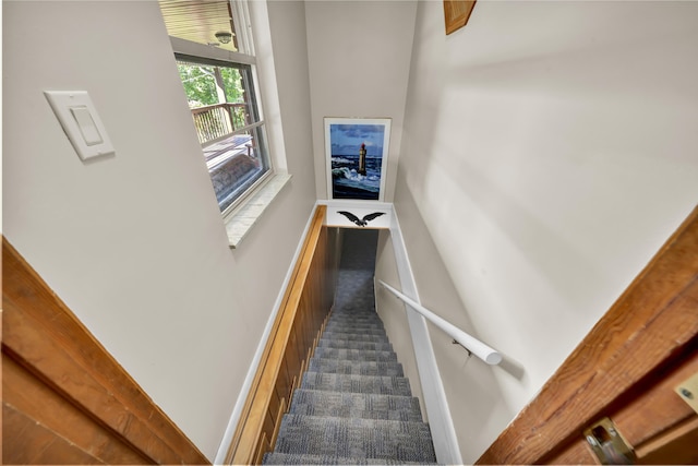 175 N Bend Rd, Stanton, KY 40380 - staircase with carpet flooring