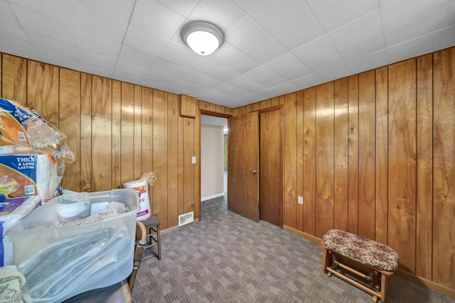175 N Bend Rd, Stanton, KY 40380 - miscellaneous room featuring wooden walls, carpet flooring, and baseboards