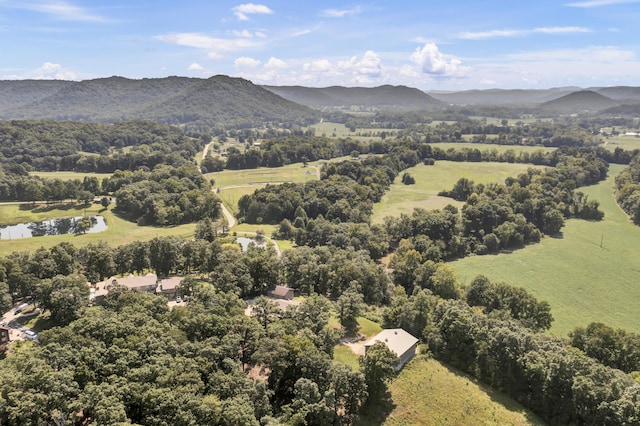 175 N Bend Rd, Stanton, KY 40380 - aerial view of a water and mountain view