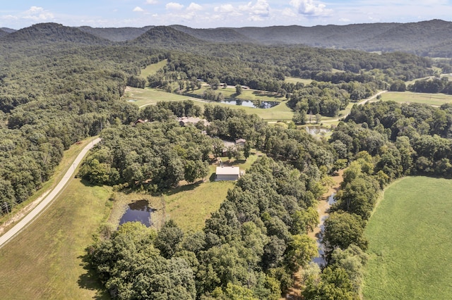 175 N Bend Rd, Stanton, KY 40380 - aerial view of property's location with a nearby body of water and a forest