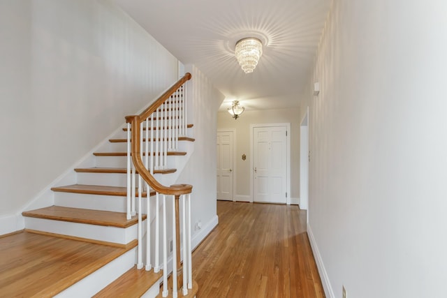 staircase featuring hardwood / wood-style flooring