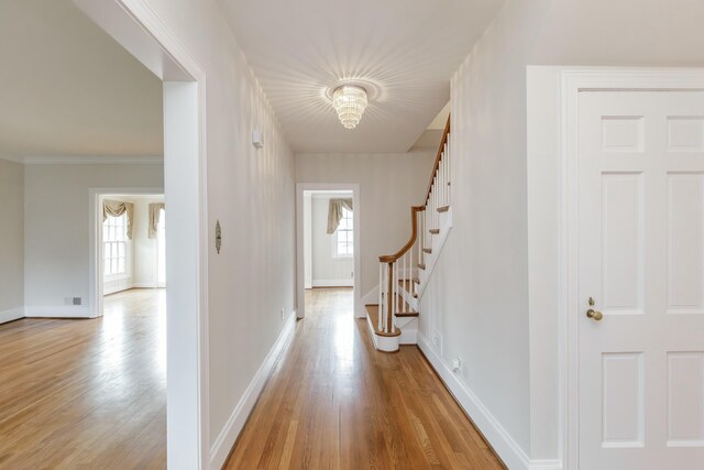 hall featuring ornamental molding and light hardwood / wood-style flooring