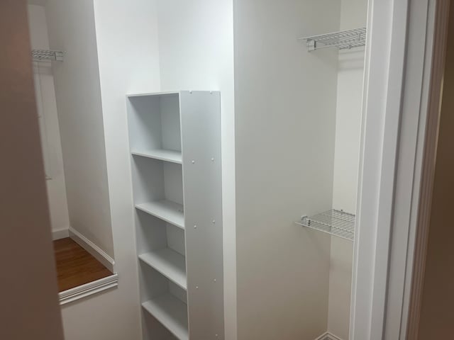 spacious closet with wood-type flooring