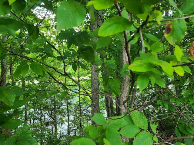 view of landscape