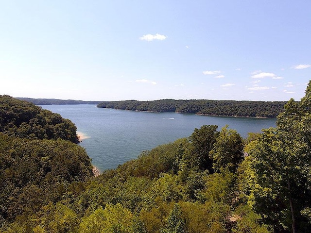 property view of water featuring a view of trees