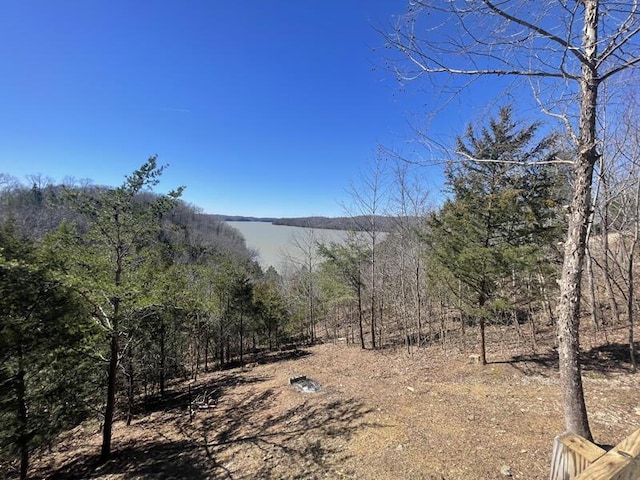 view of mountain feature featuring a view of trees