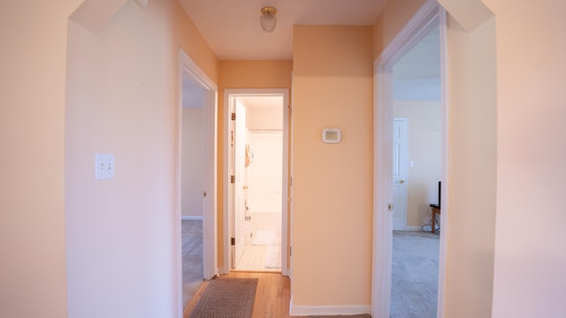 hall featuring light colored carpet