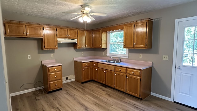 kitchen featuring sink, a textured ceiling, ceiling fan, and light hardwood / wood-style flooring