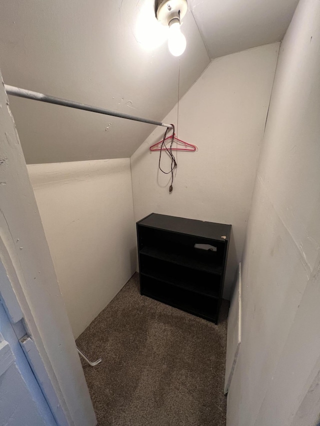 spacious closet with carpet floors and vaulted ceiling