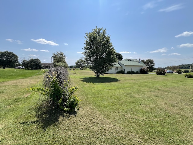 view of yard featuring a rural view