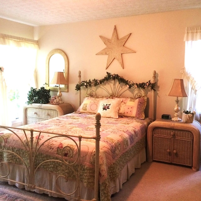 bedroom featuring multiple windows, carpet, and a textured ceiling