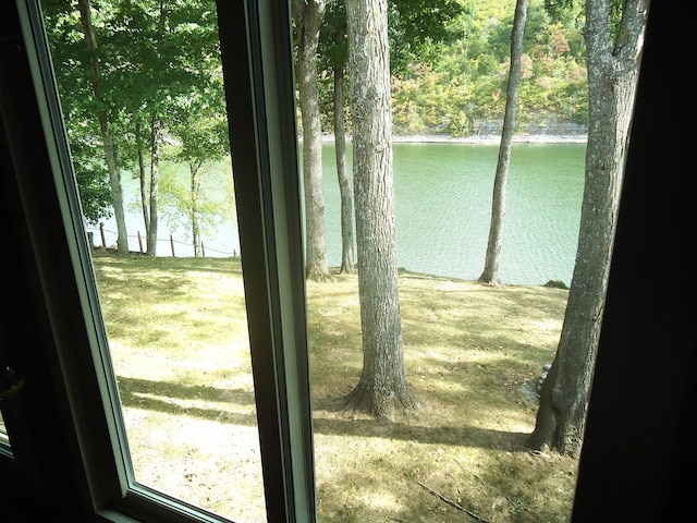 view of water feature