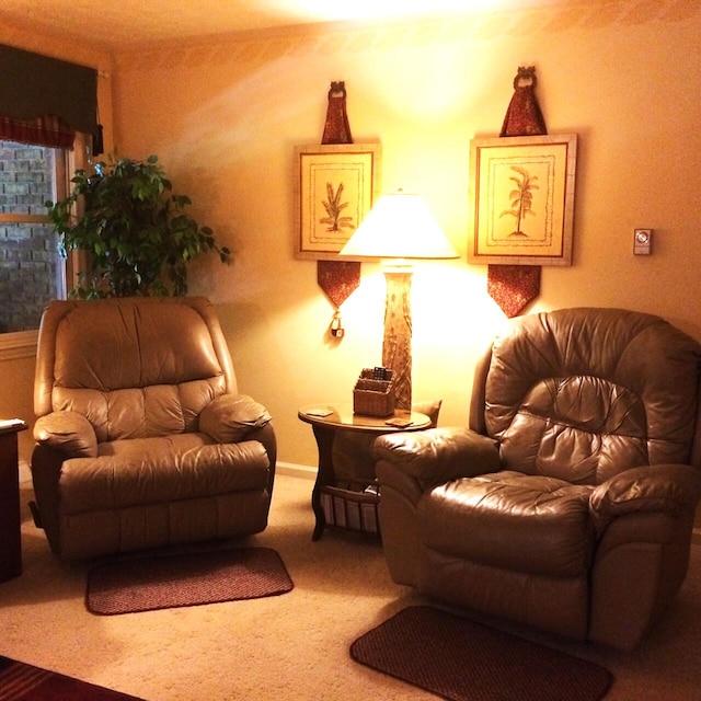 sitting room featuring carpet flooring