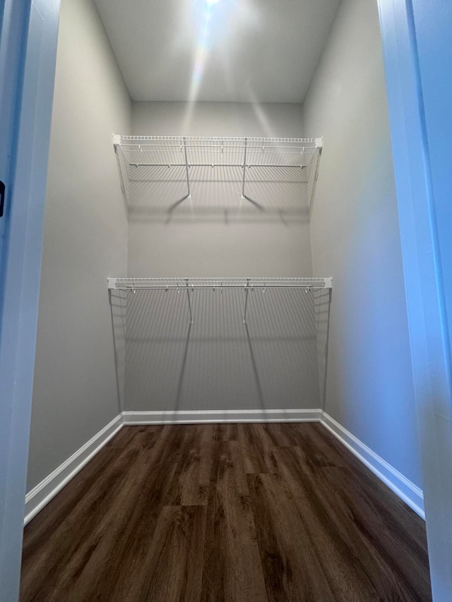 walk in closet with dark hardwood / wood-style flooring