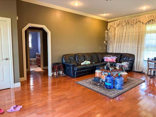 living room featuring crown molding and hardwood / wood-style flooring