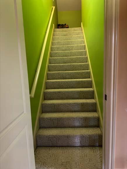 staircase with carpet floors