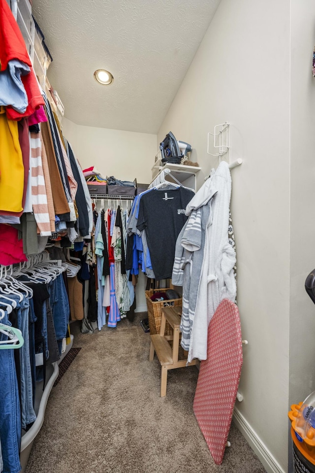 spacious closet with carpet