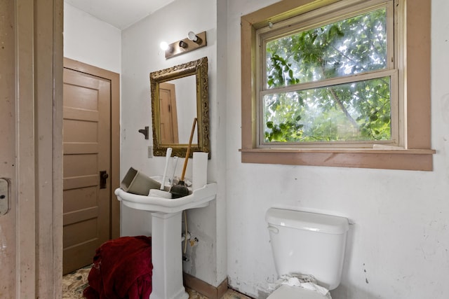 bathroom with toilet and plenty of natural light