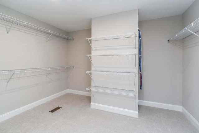 spacious closet featuring light carpet