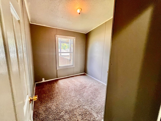 carpeted empty room featuring ornamental molding and a textured ceiling