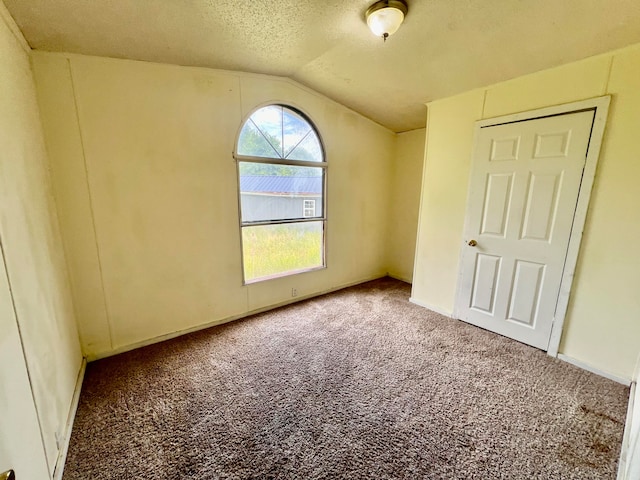 unfurnished bedroom with lofted ceiling, a textured ceiling, a closet, and carpet