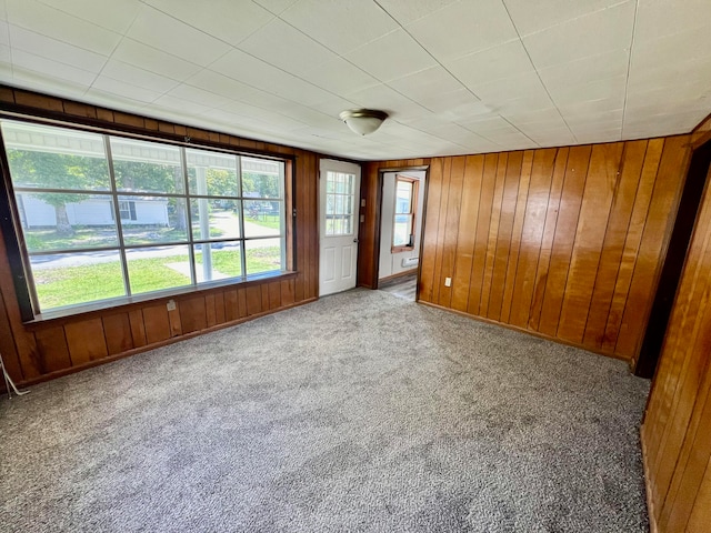 empty room featuring wooden walls and light colored carpet