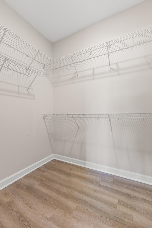 spacious closet with light wood-type flooring