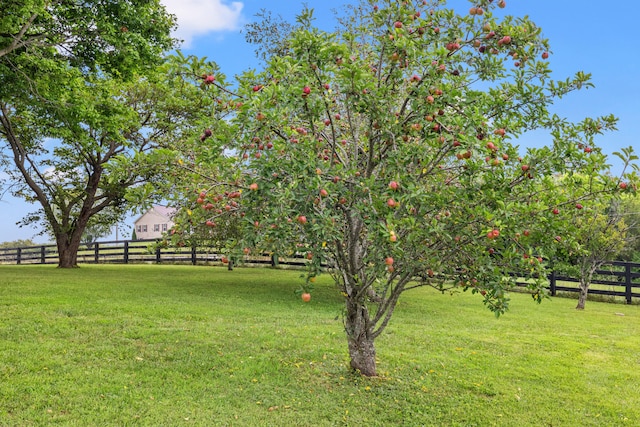 view of yard featuring a rural view