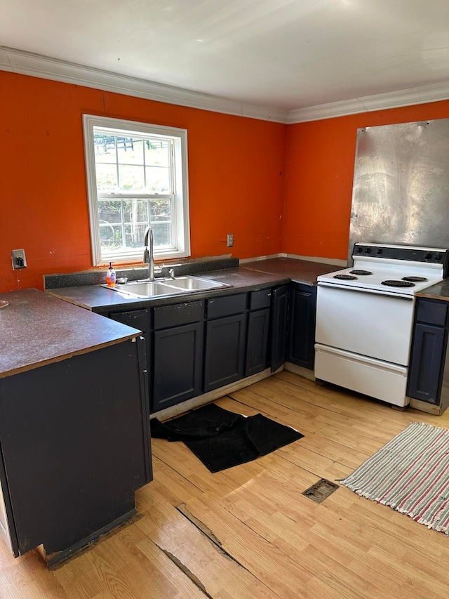 kitchen with sink, electric range, light hardwood / wood-style flooring, and crown molding