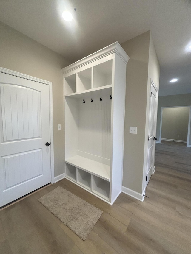 mudroom featuring wood-type flooring