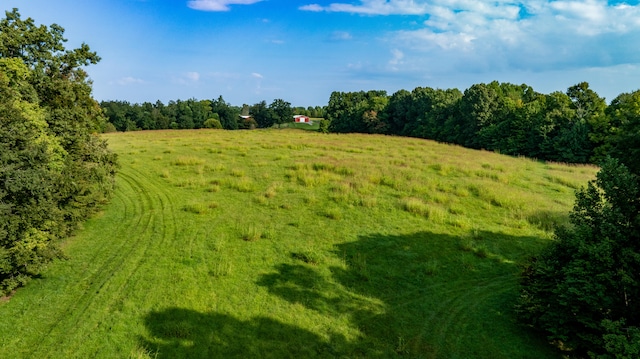 view of nature featuring a rural view