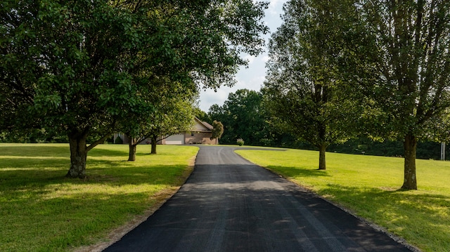 view of property's community with a yard