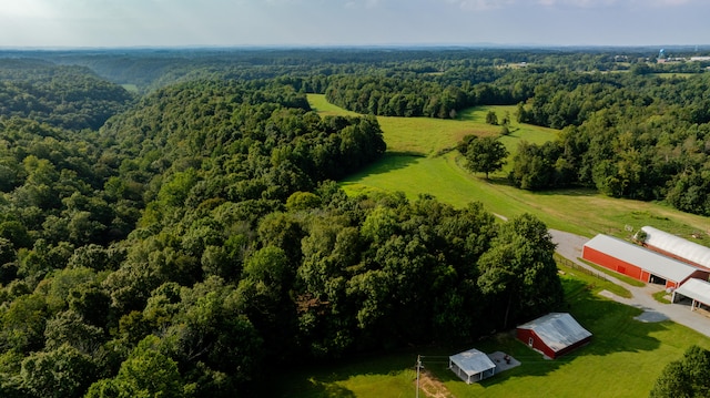 bird's eye view