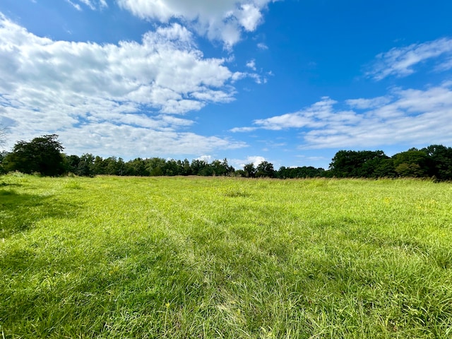 view of local wilderness featuring a rural view