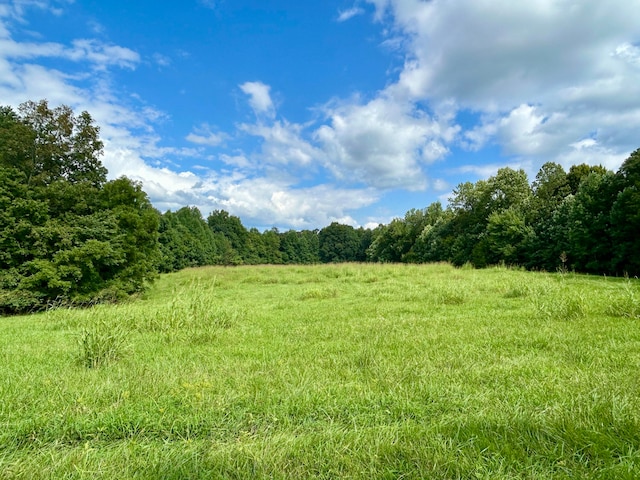 view of local wilderness with a rural view