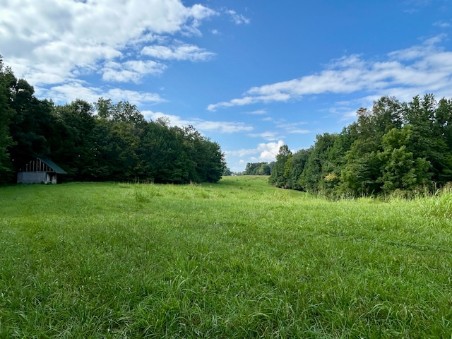 view of yard featuring a rural view