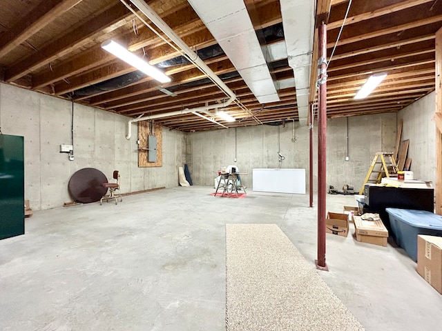 basement with electric panel