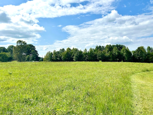 view of landscape featuring a rural view