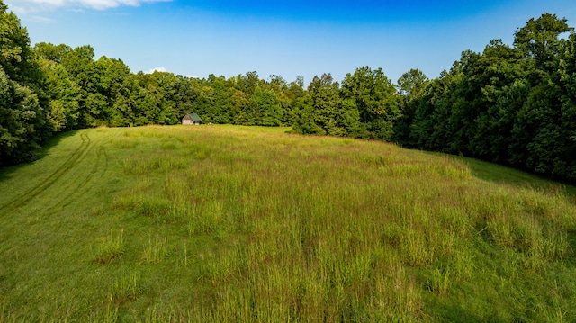 view of local wilderness