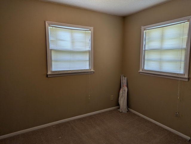 empty room featuring carpet and a textured ceiling