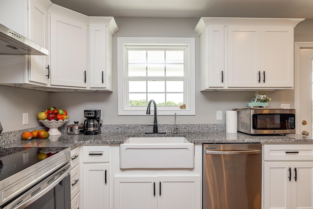 kitchen featuring stainless steel appliances, ventilation hood, a sink, and white cabinets