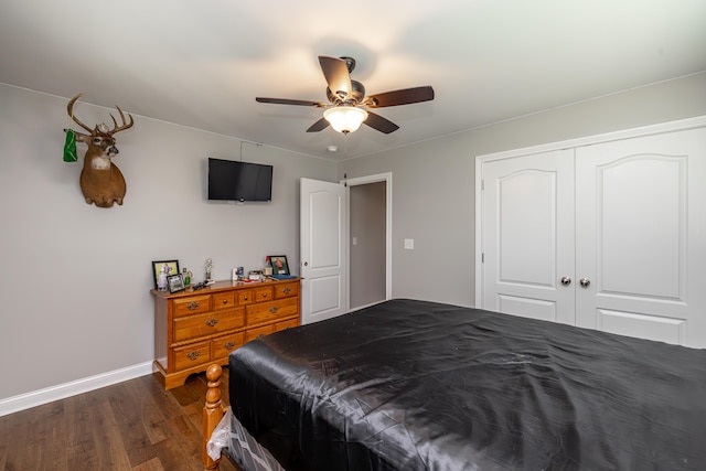 bedroom featuring ceiling fan, a closet, and dark hardwood / wood-style flooring