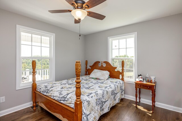 bedroom featuring dark wood-type flooring and multiple windows