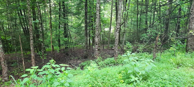 Listing photo 2 for LOT55 Odin Dr, London KY 40741